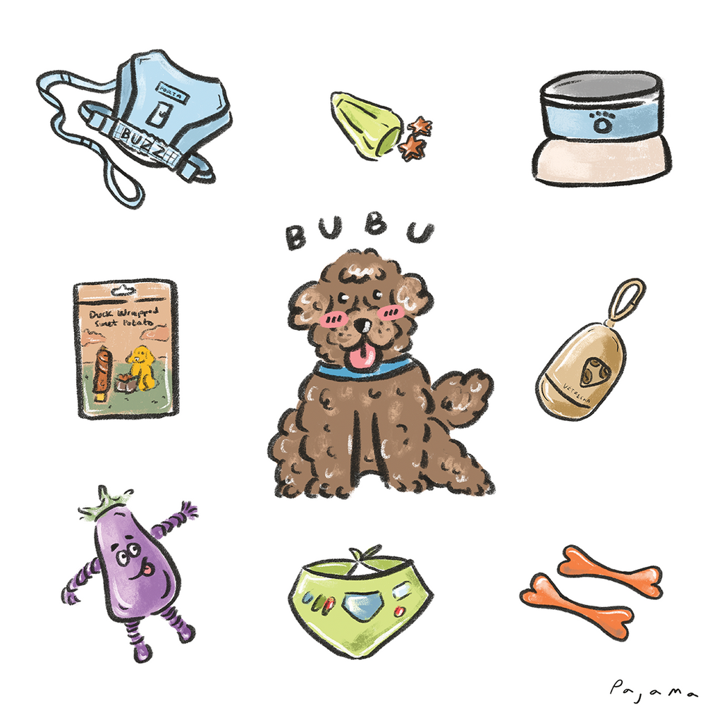 Custom Pet Illustration with Frame by Pajama Art